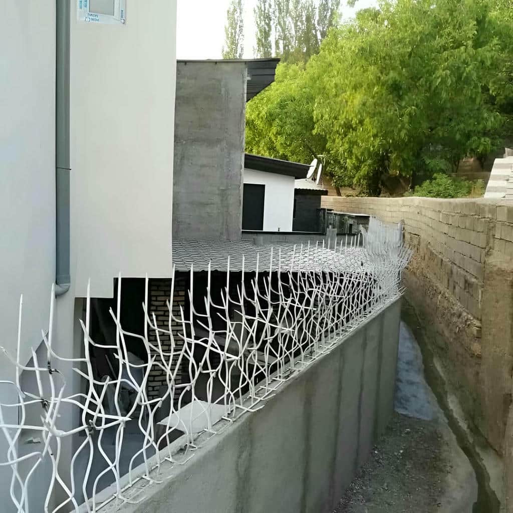 قیمت حفاظ شاخ گوزنی ارتفاع متناسب در استان مازندران