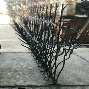 حفاظ شاخ گوزنی در گنبدکاووس