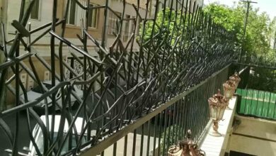 حفاظ شاخ گوزنی در کردان