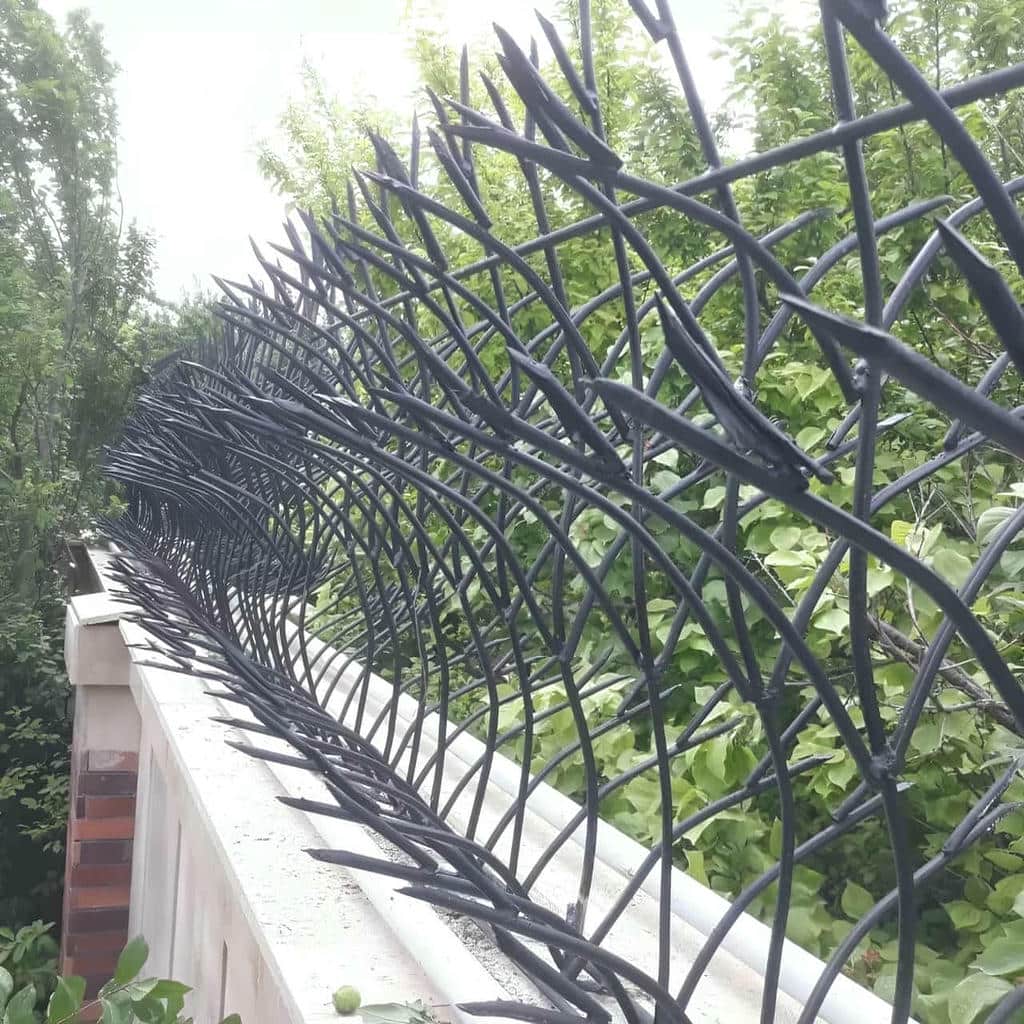 کارخانه حفاظ شاخ گوزنی کنترل کیفیت در اندیشه