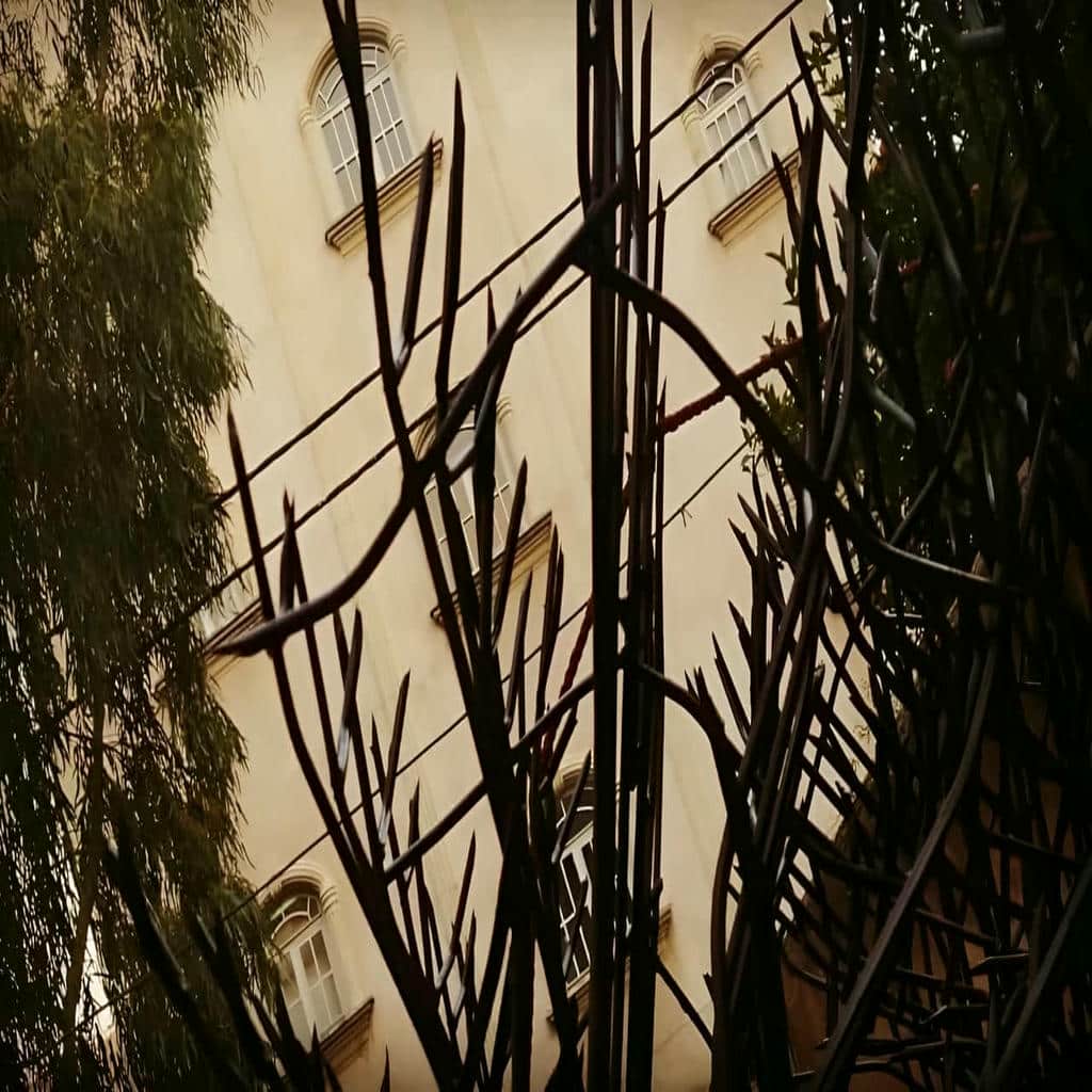 قیمت حفاظ شاخ گوزنی نوک بازدارنده در فشم