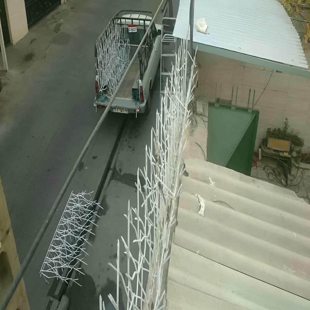 کارخانه حفاظ شاخ گوزنی کنترل اجرا در بومهن