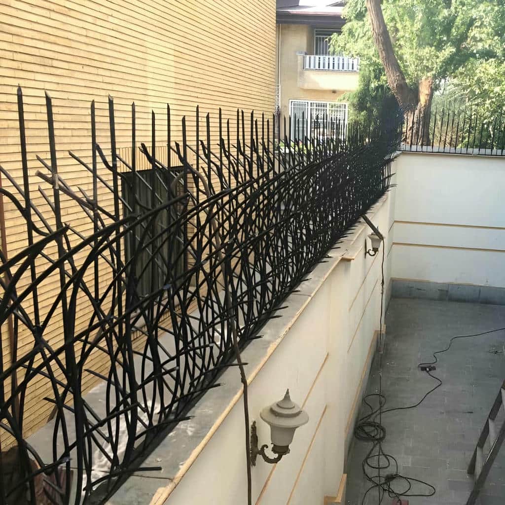 حفاظ شاخ گوزنی در زاهدان
