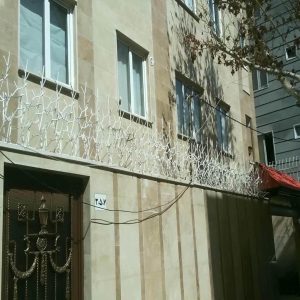 حفاظ شاخ گوزنی در اردبیل