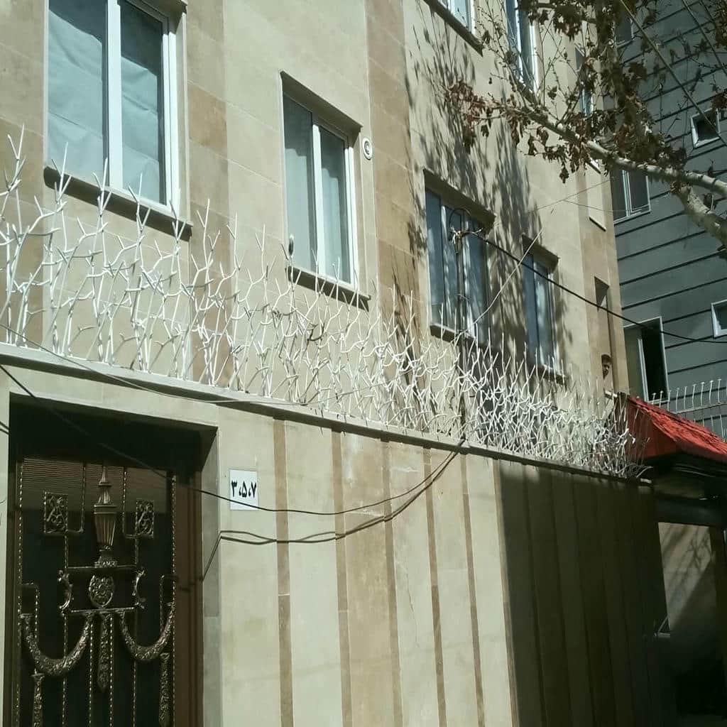 حفاظ شاخ گوزنی در اردبیل