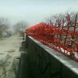 حفاظ شاخ گوزنی در بندر انزلی