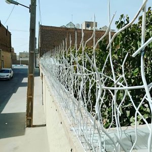 مزیت های حفاظ شاخ گوزنی برای ساختمان ویلا و باغ