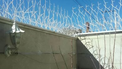 حفاظ شاخ گوزنی خار دار برای امنیت دیوار ساختمان