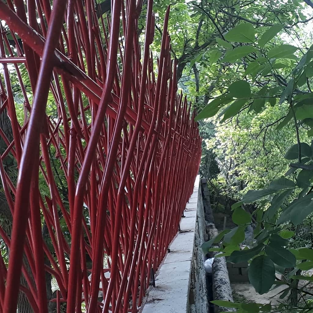 حفاظ بوته ای دیوار پرتراکم با فرم گرد و نمای یکپارچه