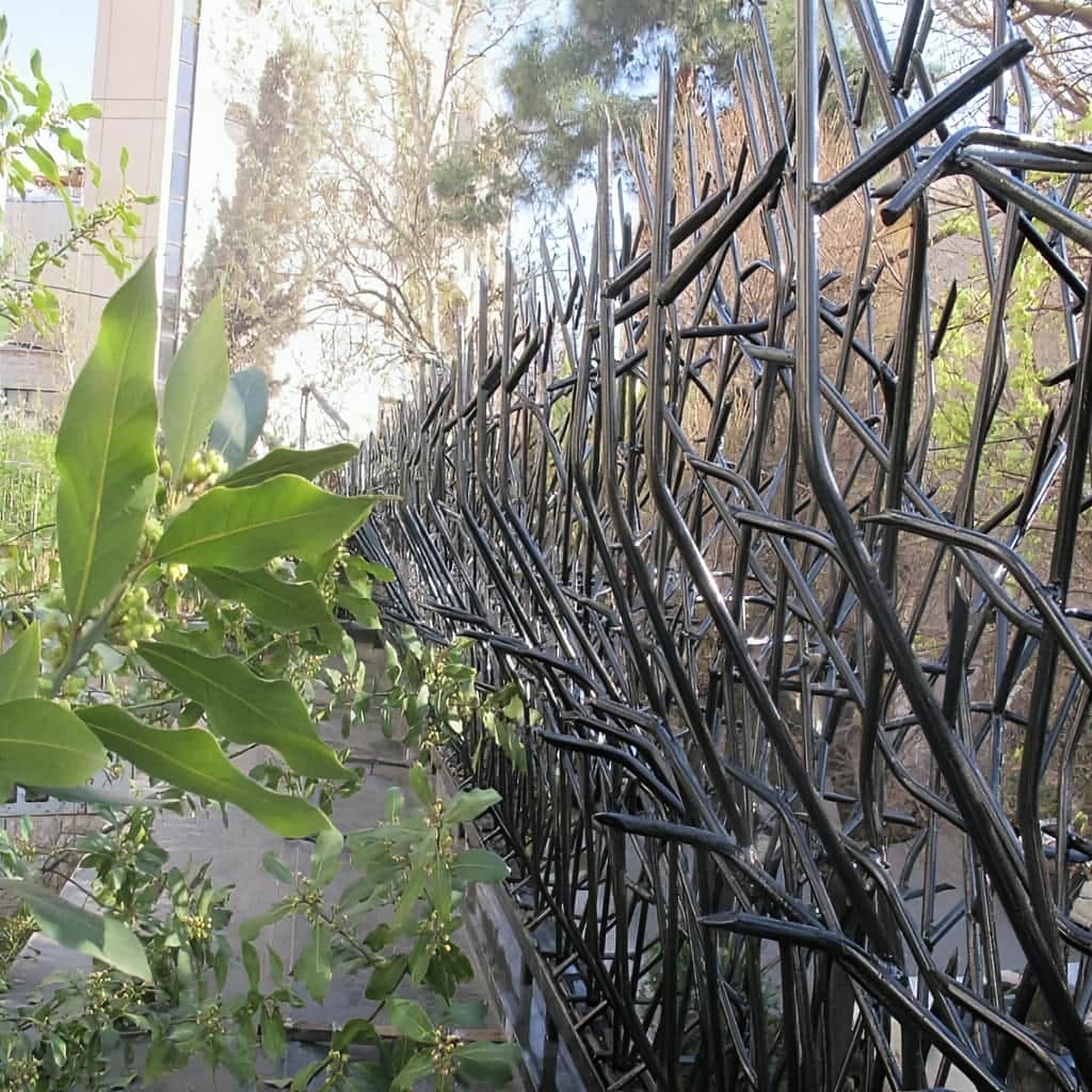 حفاظ بوته ای پرتراکم مشکی مات کنار نمای سنگی