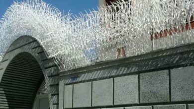 10 مدل حفاظ شاخ گوزنی دیوار باغ ویلا