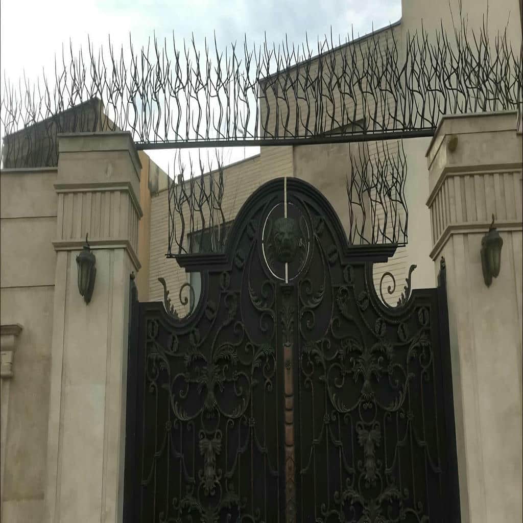 حفاظ شاخ گوزنی برای دیوارها
