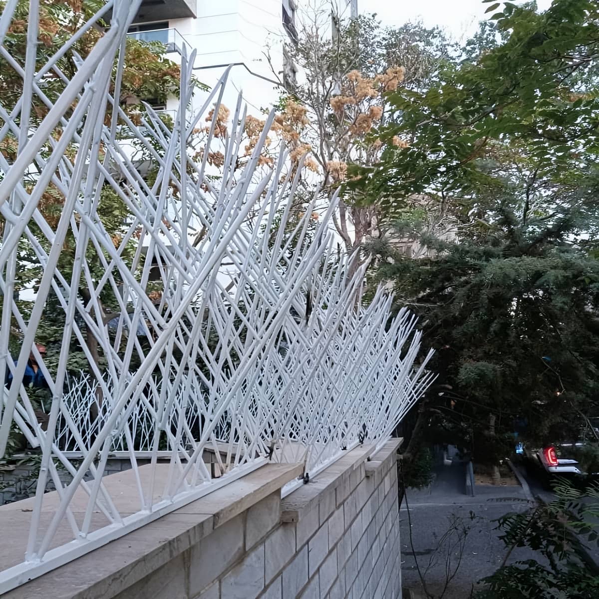 قیمت بهترین حفاظ شاخ گوزنی