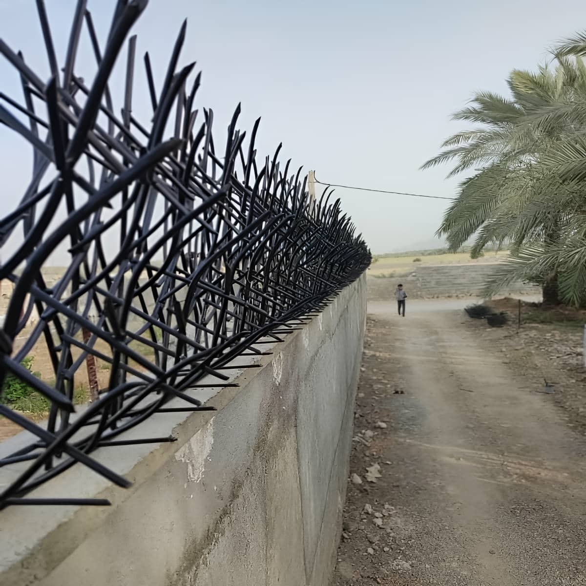 قیمت حفاظ شاخ گوزنی تهران