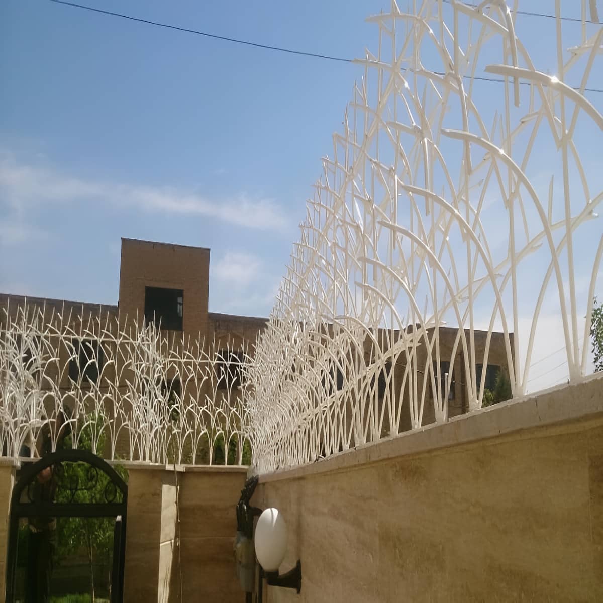 حفاظ شاخ گوزنی