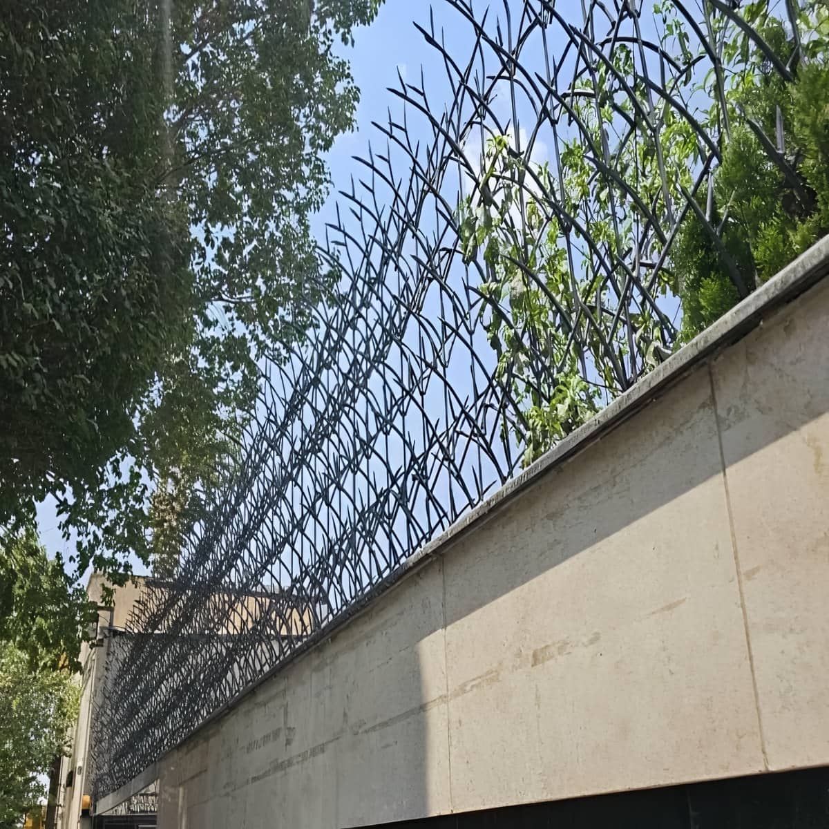 حفاظ روی دیوار شاخ گوزنی