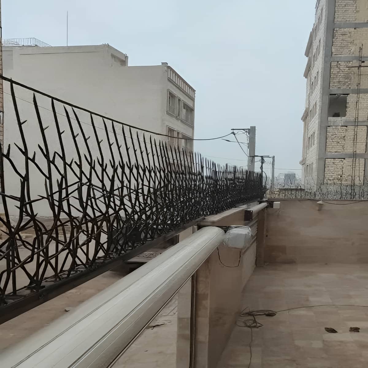 حفاظ شاخ گوزنی