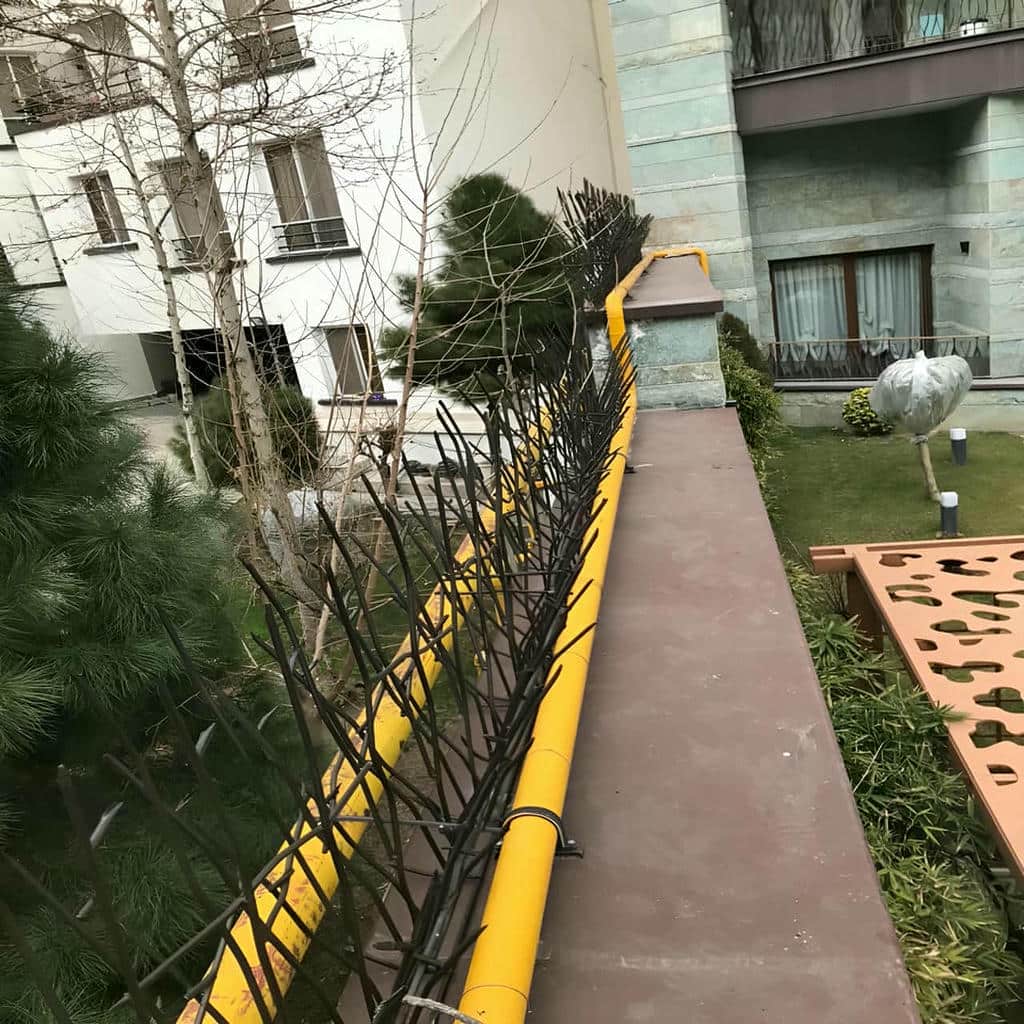 حفاظ شاخ گوزنی برای دیوار ویلای شما