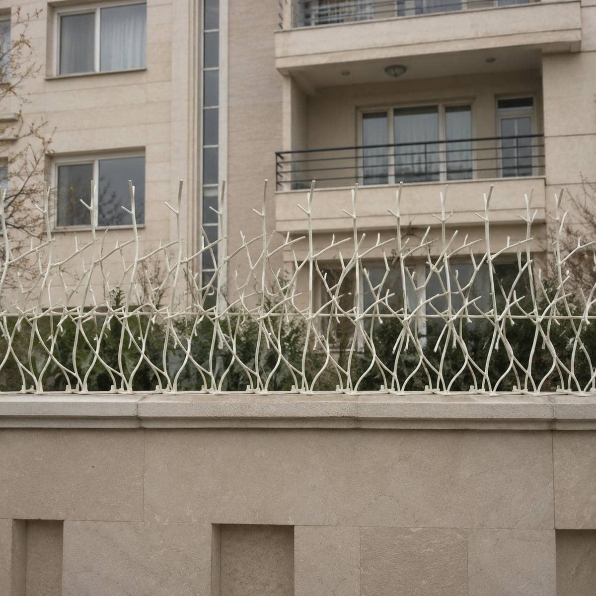 نصب حفاظ شاخ گوزنی