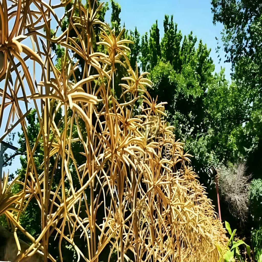 حفاظ شاخ گوزنی برای دیوارهای مشترک ساختمان