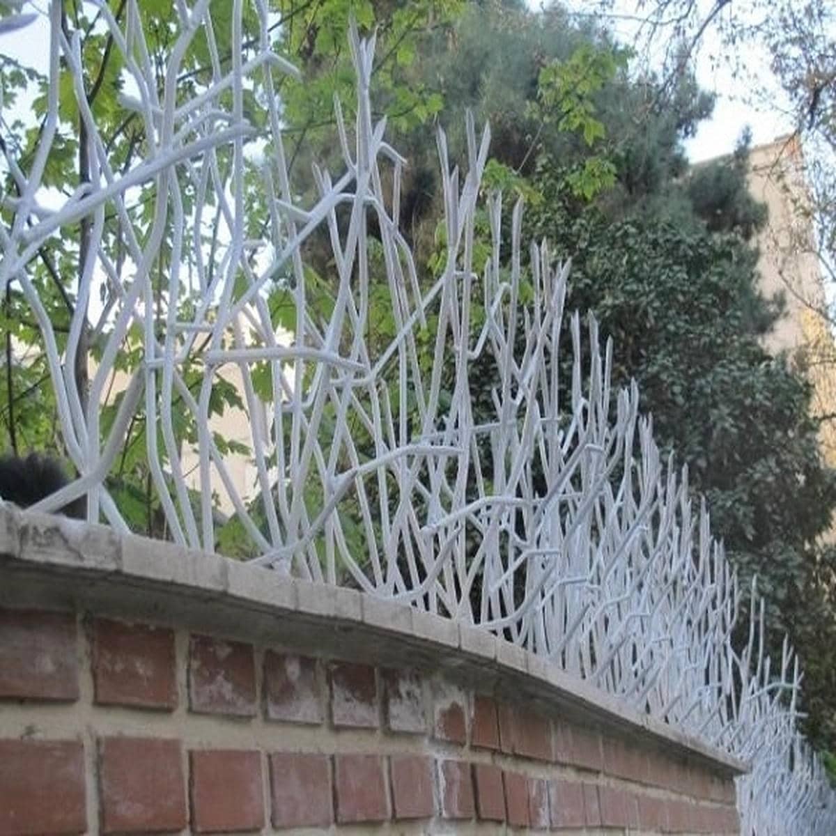 حفاظ شاخ گوزنی رنگ آمیزی شده