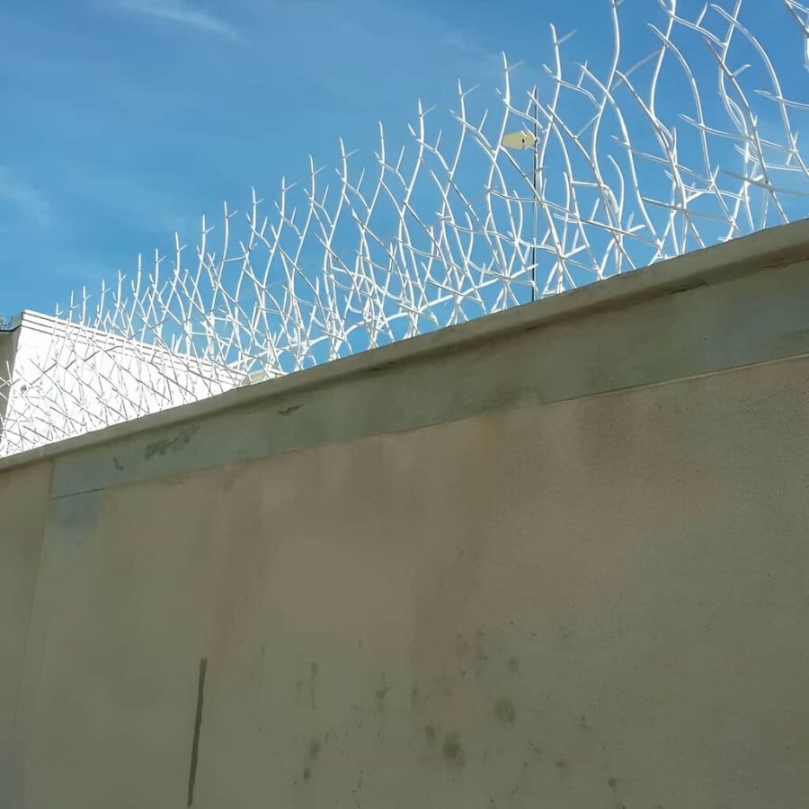 حفاظ شاخ گوزنی تراکم 31