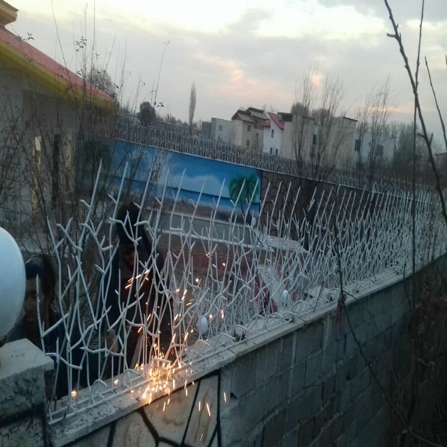حفاظ شاخ گوزنی تراکم 40
