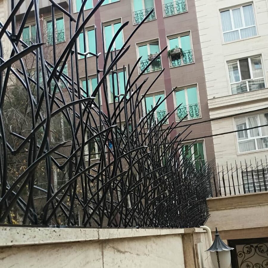 حفاظ نیزار