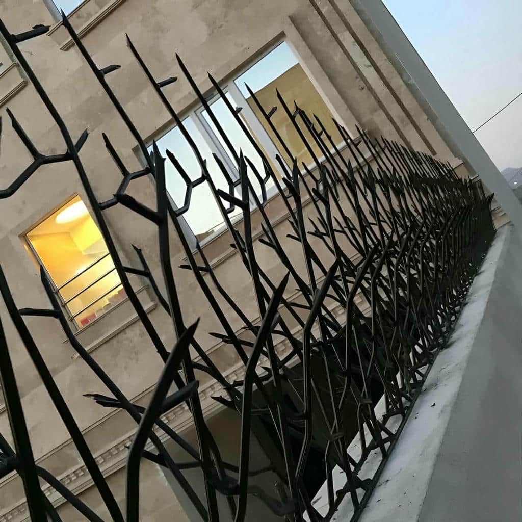 حفاظ شاخ گوزنی با طراحی شاخه ای مقاوم