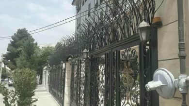 حفاظ شاخ گوزنی فلزی مقاوم