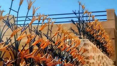حفاظ لیلیوم با طرح گل مانند فلزی