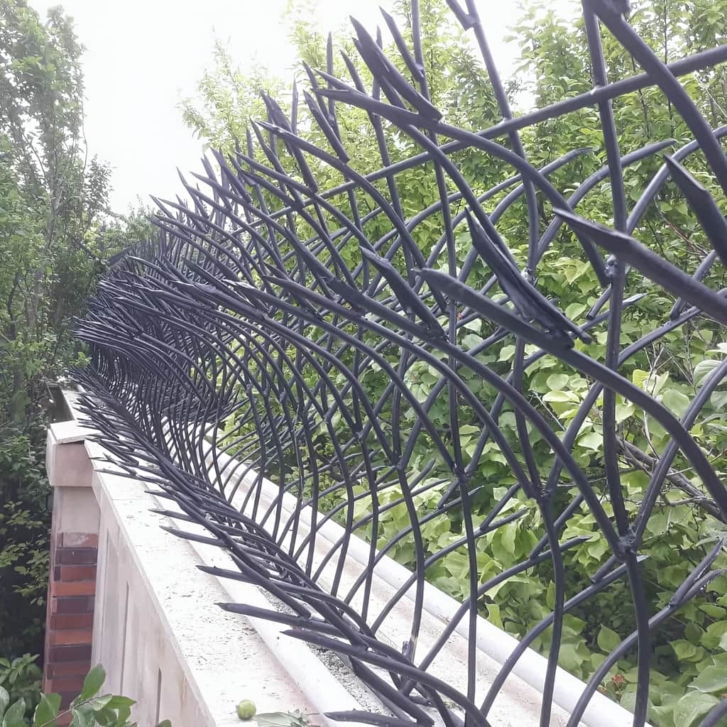 مرکز فروش حفاظ غنچه ای با شرایط مناسب برای ضمانت گارانتی و قرارداد نصب